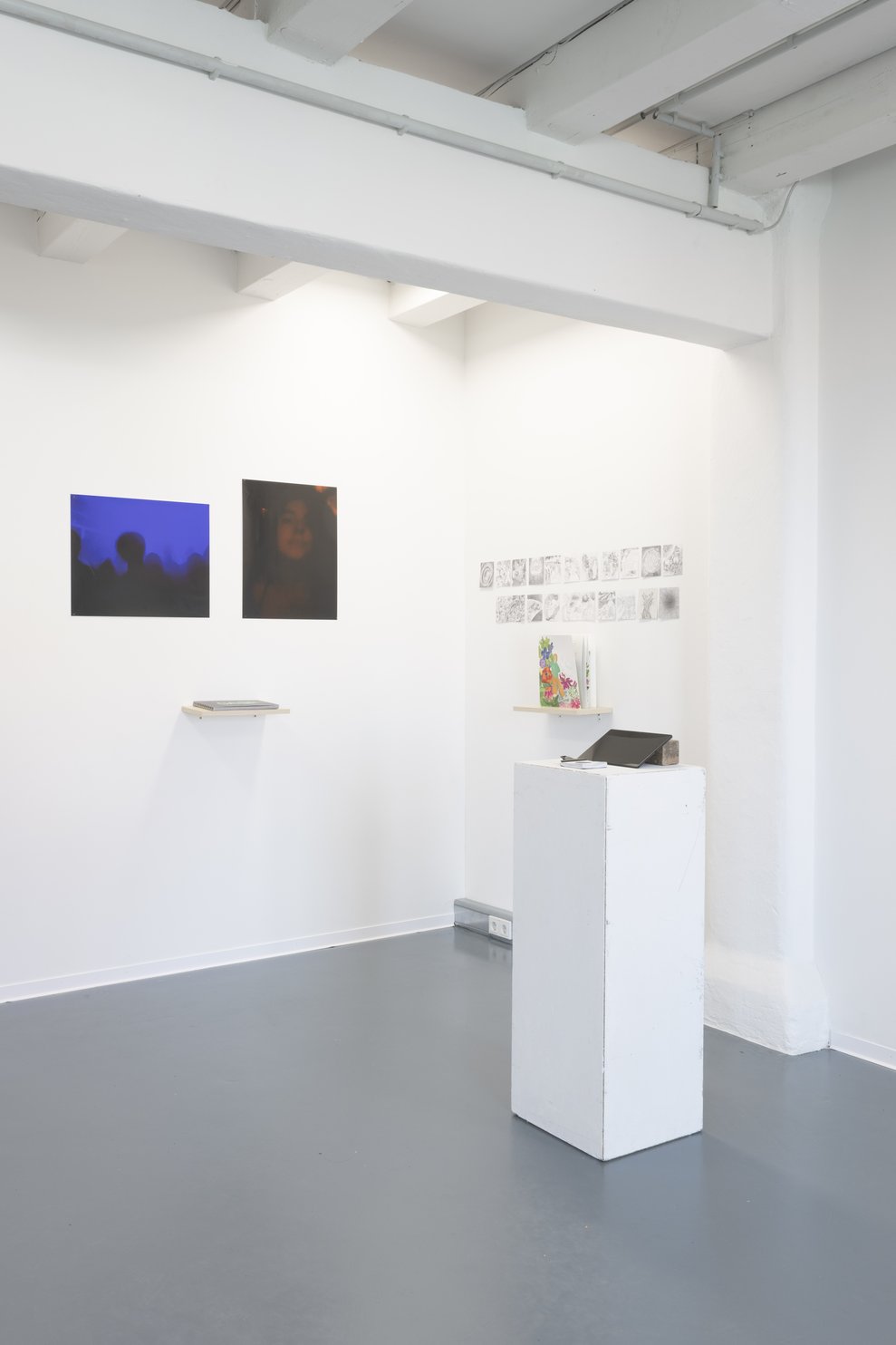 Galerieraum mit fotografischen und grafischen Arbeiten auf Wandregalen und Sockel.