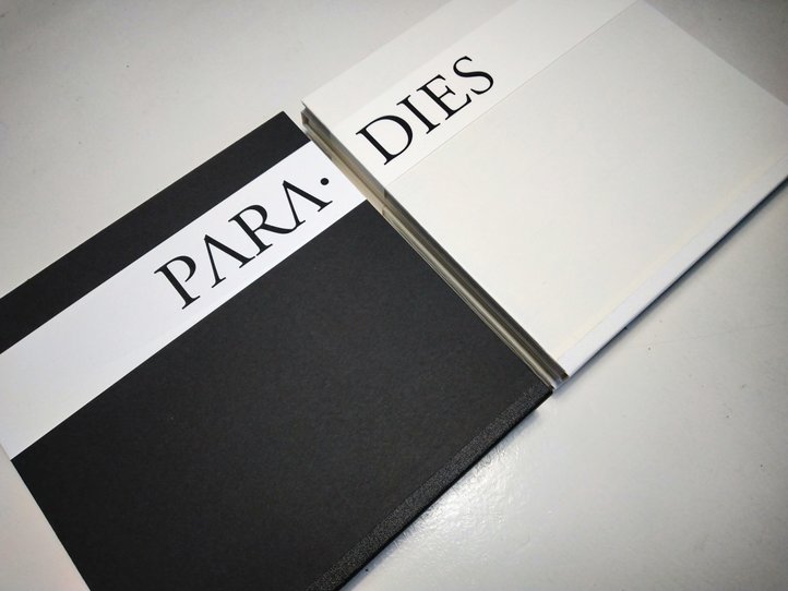 Daniel Wrede: PARA-DIES