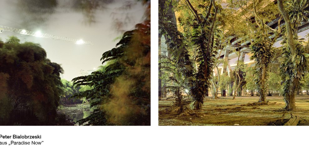 Diptych from Paradise Now: tropical vegetation with fog and trees beneath an elevated highway.