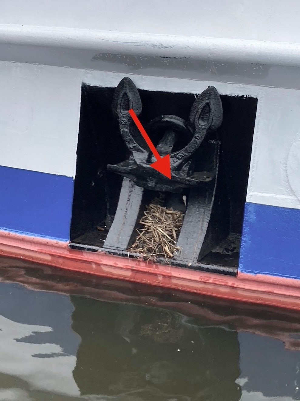 Blässhuhn-Nest in der Ankernische der MS Dauerwelle, roter Pfeil markiert den Nistplatz.